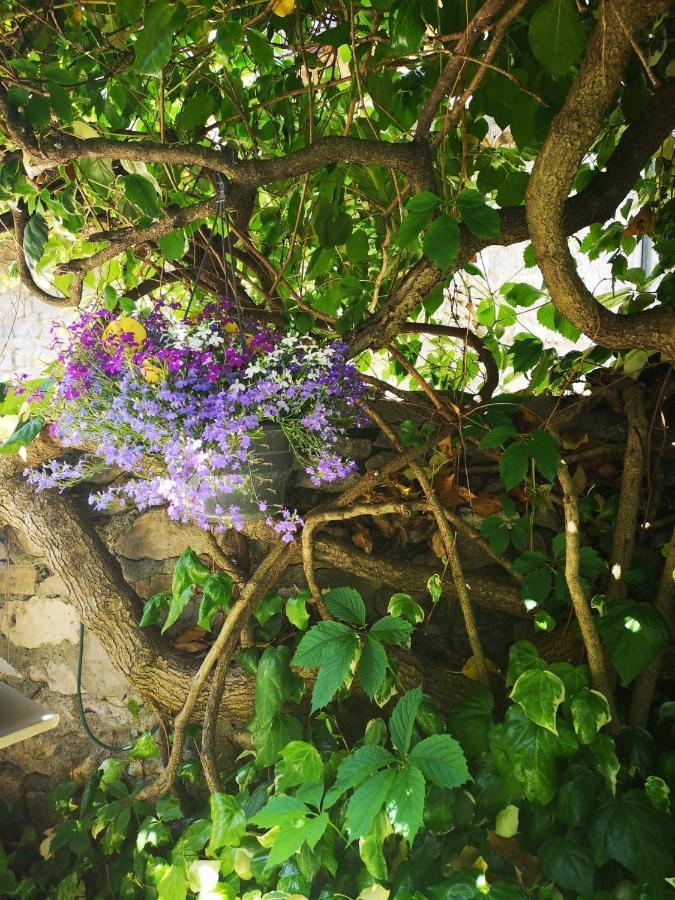 Au Clos Des Anges Saint-Jean-de-Maruejols-et-Avejan Екстер'єр фото